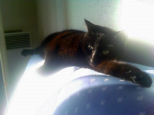 2007-12-25 Noel_l.jpg